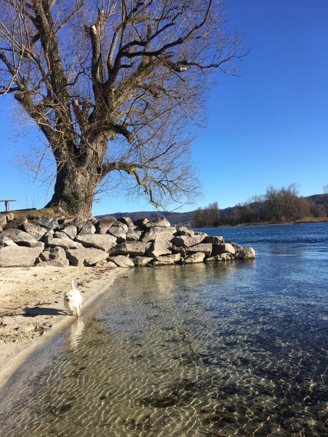 Ferienwohnung Am Bodensee Ohningen Eksteriør billede